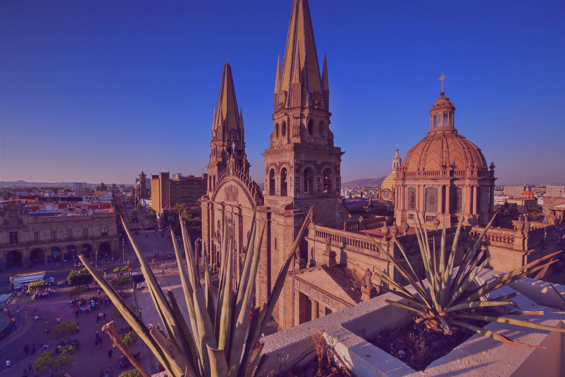 guadalajara transparencia
